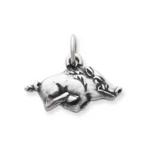 Arkansas Razorback Charm