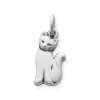 Cat Charm