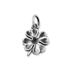 Four Leaf Clover Charm