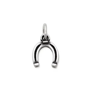 Horseshoe Charm