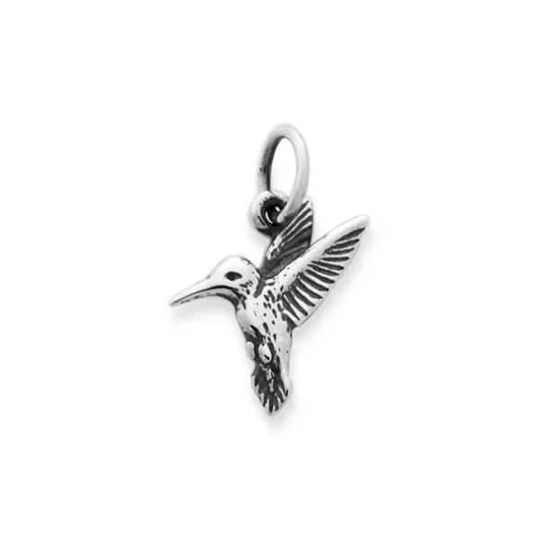 Hummingbird Charm