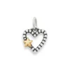 My Shining Star Charm