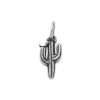 Saguaro Cactus with Bird Charm