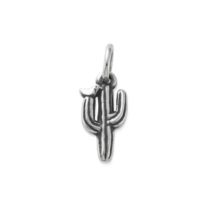 Saguaro Cactus with Bird Charm