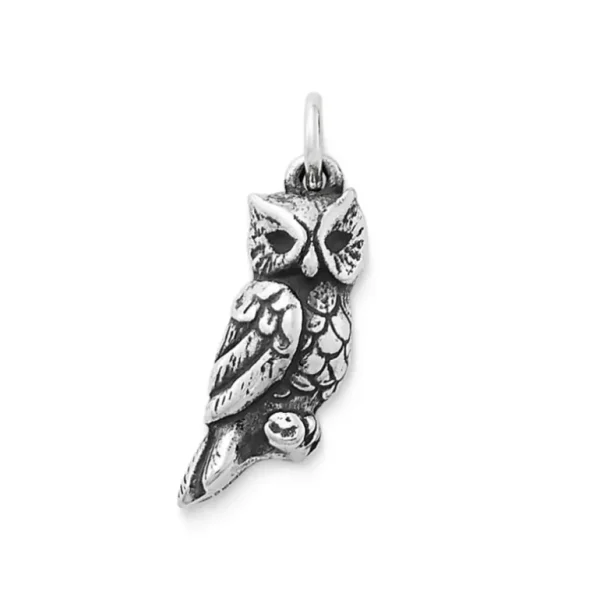 Sculpted Owl Charm