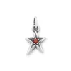 Shining Star Birthstone Charm