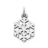 Snow Crystal Charm