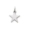 Star Charm