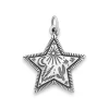 Western Sky Star Charm